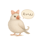 ふんわりリボン文鳥スタンプ（個別スタンプ：37）