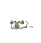 小さくてかわいいシーズー（個別スタンプ：21）