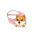 はなせばどうぶつ（個別スタンプ：1）