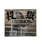うさぎのごま吉2（個別スタンプ：1）