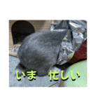 うさぎのごま吉2（個別スタンプ：9）