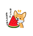コーギーまいまい その7（個別スタンプ：2）