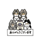【日常で使える編】 もんざえもんの仲間達3（個別スタンプ：4）