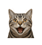 ハッピー顔（猫編）（個別スタンプ：2）