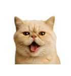 ハッピー顔（猫編）（個別スタンプ：3）