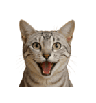 ハッピー顔（猫編）（個別スタンプ：4）