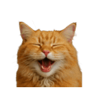ハッピー顔（猫編）（個別スタンプ：9）