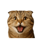 ハッピー顔（猫編）（個別スタンプ：15）