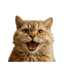 ハッピー顔（猫編）（個別スタンプ：17）