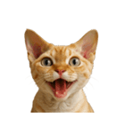 ハッピー顔（猫編）（個別スタンプ：20）