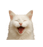 ハッピー顔（猫編）（個別スタンプ：21）
