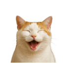 ハッピー顔（猫編）（個別スタンプ：22）