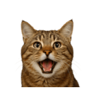 ハッピー顔（猫編）（個別スタンプ：28）