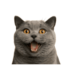 ハッピー顔（猫編）（個別スタンプ：30）