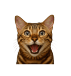 ハッピー顔（猫編）（個別スタンプ：32）