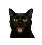 ハッピー顔（猫編）（個別スタンプ：33）