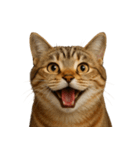ハッピー顔（猫編）（個別スタンプ：35）