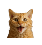 ハッピー顔（猫編）（個別スタンプ：39）