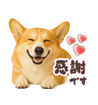 コーギーちゃんの☆毎日使う敬語スタンプ（個別スタンプ：9）