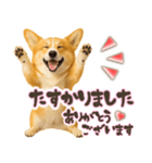 コーギーちゃんの☆毎日使う敬語スタンプ（個別スタンプ：19）