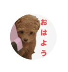 おちびごあいさつ（個別スタンプ：5）