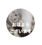 おちびごあいさつ（個別スタンプ：6）