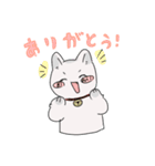 しろねこの連絡スタンプ（個別スタンプ：5）