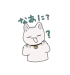 しろねこの連絡スタンプ（個別スタンプ：12）
