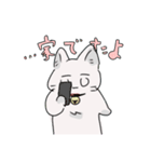 しろねこの連絡スタンプ（個別スタンプ：16）
