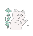 しろねこの連絡スタンプ（個別スタンプ：21）