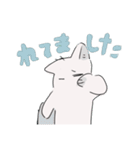 しろねこの連絡スタンプ（個別スタンプ：23）