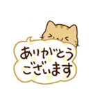 小さいキジトラ猫☆かわいい吹き出し（個別スタンプ：11）