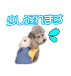 波夛野家のキキちゃん2（個別スタンプ：3）
