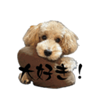 かわいい犬！ムクりん！7（個別スタンプ：9）