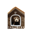かわいい犬！ムクりん！7（個別スタンプ：13）