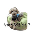 かわいい犬！ムクりん！7（個別スタンプ：32）
