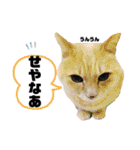 もっと元気が出る我が家のスタンプ（個別スタンプ：30）