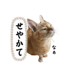 もっと元気が出る我が家のスタンプ（個別スタンプ：31）