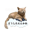 もっと元気が出る我が家のスタンプ（個別スタンプ：32）