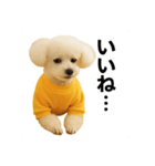 そう君stamp（個別スタンプ：2）
