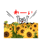 暑いです ほんと暑いです（個別スタンプ：31）