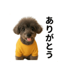 マメ君stamp（個別スタンプ：2）
