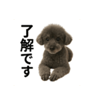 マメ君stamp（個別スタンプ：6）