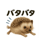 【感情表現】ハリネズミのウキウキスタンプ（個別スタンプ：1）