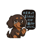 依存症の動物達（個別スタンプ：12）