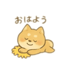 しば助の1日（個別スタンプ：1）