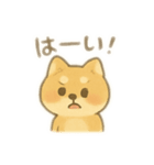 しば助の1日（個別スタンプ：9）