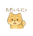 しば助の1日（個別スタンプ：13）