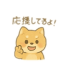 しば助の1日（個別スタンプ：14）