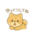 しば助の1日（個別スタンプ：17）